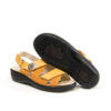 ND-5595-SUN - Image 2